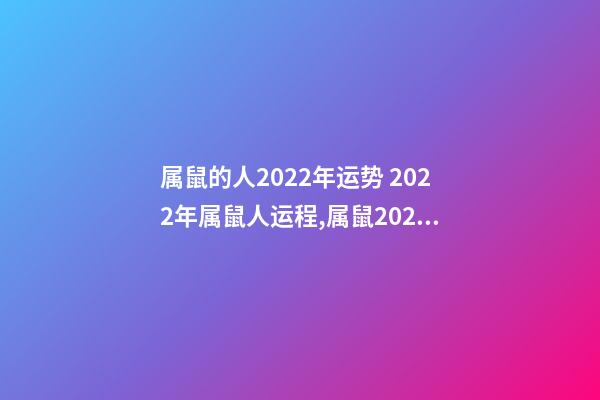 属鼠的人2022年运势 2022年属鼠人运程,属鼠2022年运势及运程-第1张-观点-玄机派